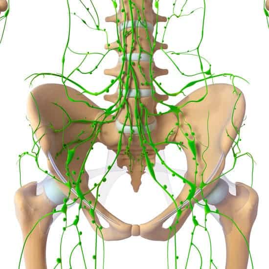 Lymphatic system of female with lungs